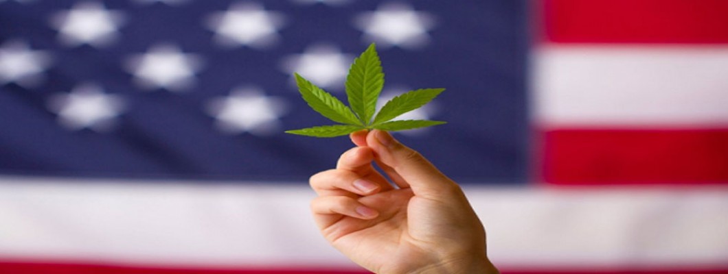 Draft US Cannabis Reform Bill Released Draft US Cannabis Reform Bill Released