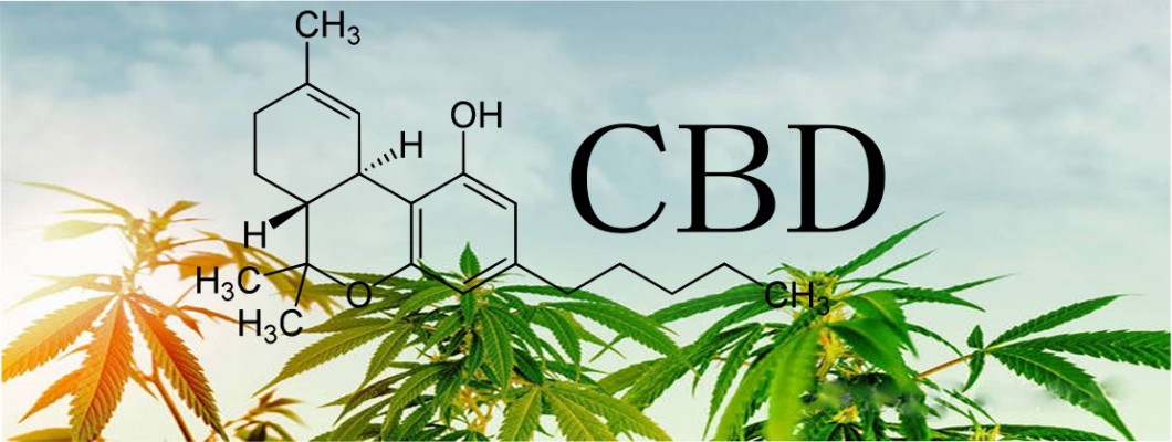 Taking CBD to Improve your Health