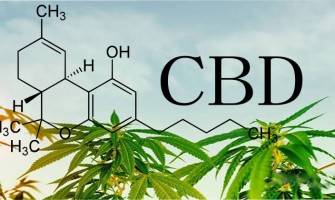Prendre du CBD pour améliorer sa santé Prendre du CBD pour améliorer sa santé