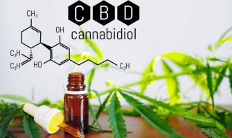 NATURAL TIPS TO MAINTAIN ENERGY AND WELLBEING THIS WINTER NATURAL TIPS TO MAINTAIN ENERGY AND WELLBEING THIS WINTER