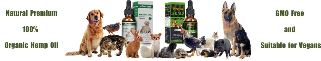 Pet Hemp Oil Pet Hemp Oil