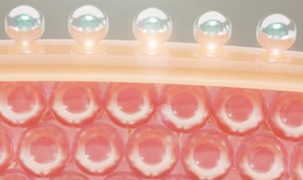 9 Additional Benefits of NMN for Women Besides Anti-Aging 9 Additional Benefits of NMN for Women Besides Anti-Aging