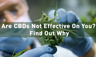 Are CBDs Not Effective On You? Find Out Why Are CBDs Not Effective On You? Find Out Why