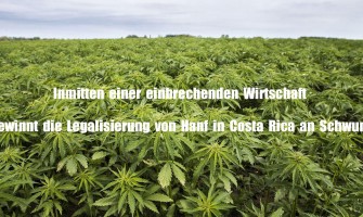 Amid slumping economy, hemp legalization in Costa Rica gains momentum Amid slumping economy, hemp legalization in Costa Rica gains momentum