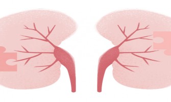 À partir de quel âge les reins déclinent-ils rapidement ? Bienfaits de la NMN pour la santé rénale expliqués À partir de quel âge les reins déclinent-ils rapidement ? Bienfaits de la NMN pour la santé rénale expliqués