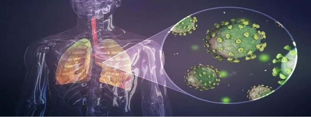 Scientists Confirm: Cannabinoids Block COVID-19's Virus Entry of Human Cells Scientists Confirm: Cannabinoids Block COVID-19's Virus Entry of Human Cells