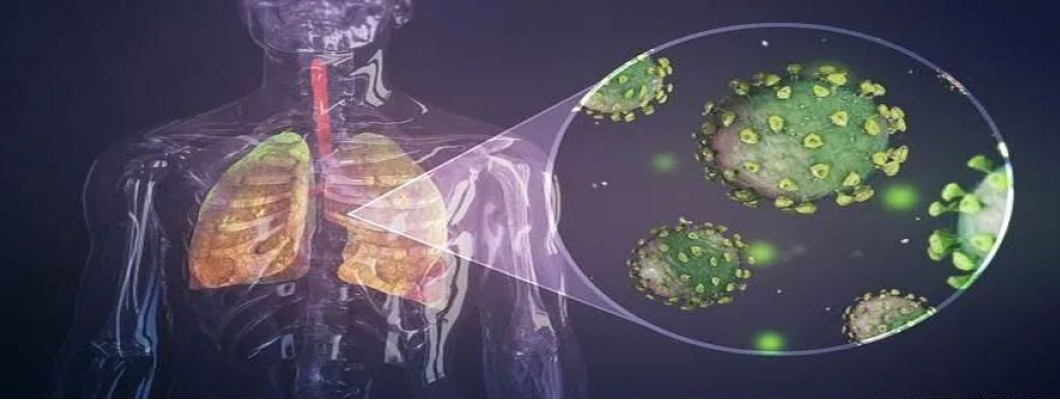 Scientists Confirm: Cannabinoids Block COVID-19's Virus Entry of Human Cells