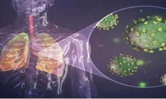 Les Scientifiques Confirment : Les Cannabinoïdes Bloquent l'Entrée du Virus COVID-19 dans les Cellules Humaines Les Scientifiques Confirment : Les Cannabinoïdes Bloquent l'Entrée du Virus COVID-19 dans les Cellules Humaines