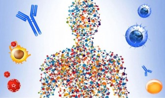 Comment le chanvre CBD peut renforcer votre système immunitaire! Comment le chanvre CBD peut renforcer votre système immunitaire!