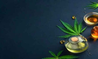 Can CBD Support Muscle Recovery After Exercise? What a New Clinical Study Suggests