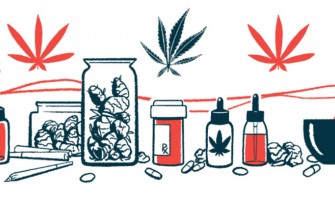 CBD may be effective in systemic scleroderma fingertip ulcers CBD may be effective in systemic scleroderma fingertip ulcers