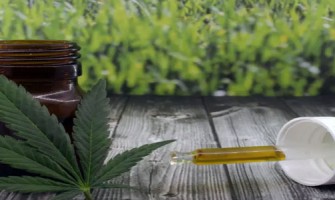 Un nouveau traitement contre le cancer pénètre la barrière hémato-encéphalique, les cannabinoïdes pourraient y jouer un rôle important Un nouveau traitement contre le cancer pénètre la barrière hémato-encéphalique, les cannabinoïdes pourraient y jouer un rôle important