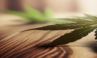 Cannabis and Women: 7 Common Health Issues Improved by Cannabis Cannabis and Women: 7 Common Health Issues Improved by Cannabis