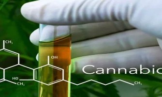 Le cannabidiol (CBD) aide la Chimiothérapie du Cancer Le cannabidiol (CBD) aide la Chimiothérapie du Cancer
