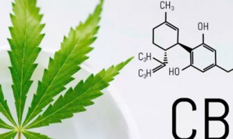 La relation entre le CBD et la dépression La relation entre le CBD et la dépression
