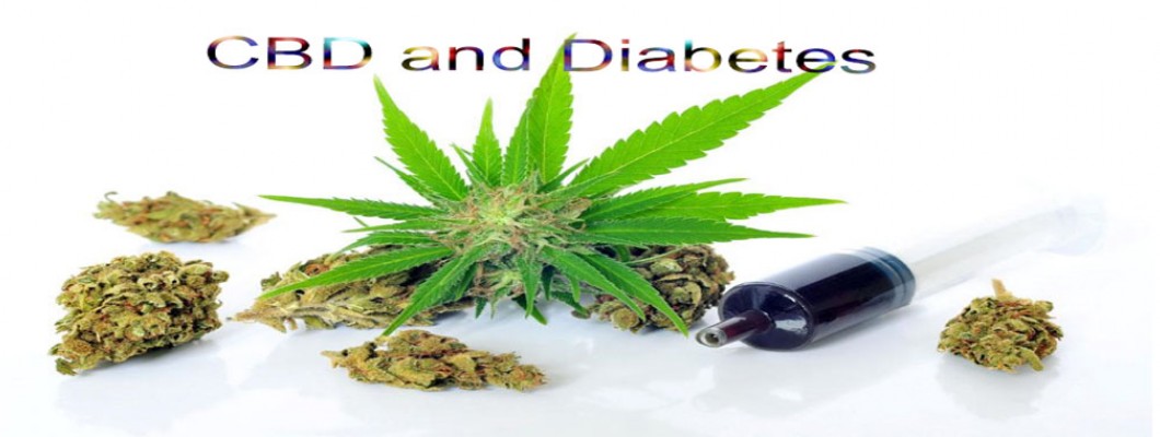 What the Latest Medical Research Found about CBD and Diabetes?
