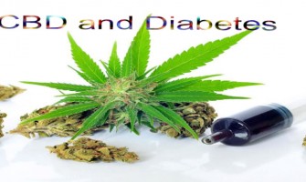 Que révèlent les dernières recherches médicales sur le CBD et le diabète ? Que révèlent les dernières recherches médicales sur le CBD et le diabète ?