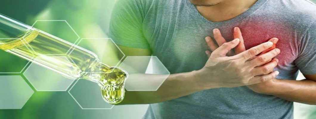 CBD e Malattie Cardiache CBD e Malattie Cardiache