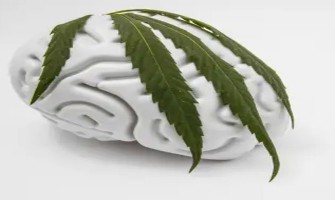 CBD as a Potential Treatment for ADHD CBD as a Potential Treatment for ADHD