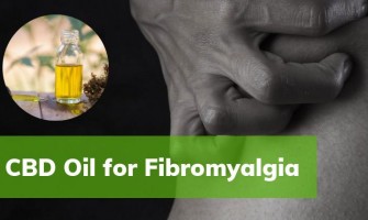 Ihr Leitfaden zur Verwendung von CBD-Öl bei Fibromyalgie Ihr Leitfaden zur Verwendung von CBD-Öl bei Fibromyalgie