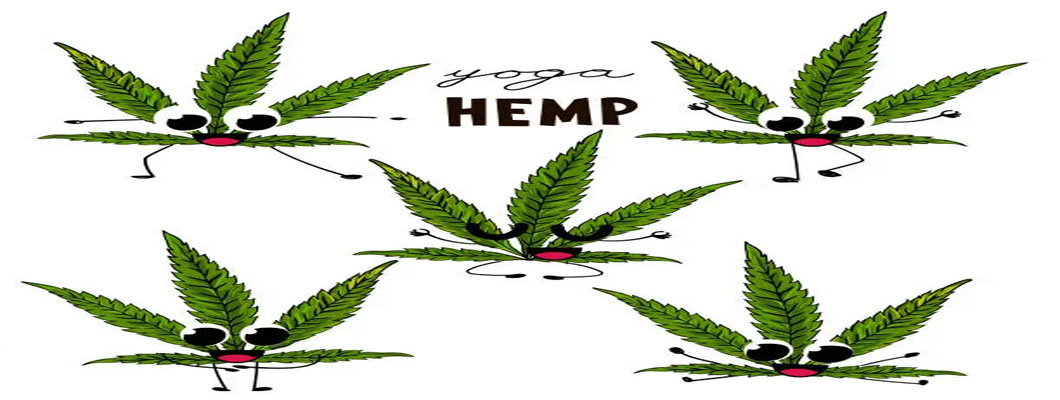 How CBD Made You Fall in Love with Exercise? How CBD Made You Fall in Love with Exercise?