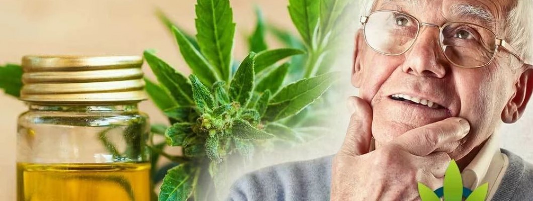 Cannabidiol (CBD) may Reduce Plaque and Improve Cognitive Ability