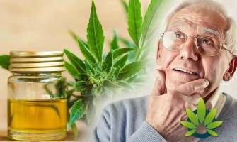 Le Cannabidiol (CBD) peut Réduire la Plaque et Améliorer les Capacités Cognitives Le Cannabidiol (CBD) peut Réduire la Plaque et Améliorer les Capacités Cognitives