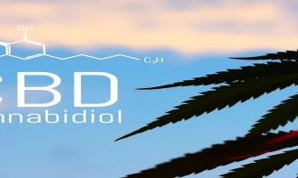 CBD Offers Hope for Opioid Addiction CBD Offers Hope for Opioid Addiction