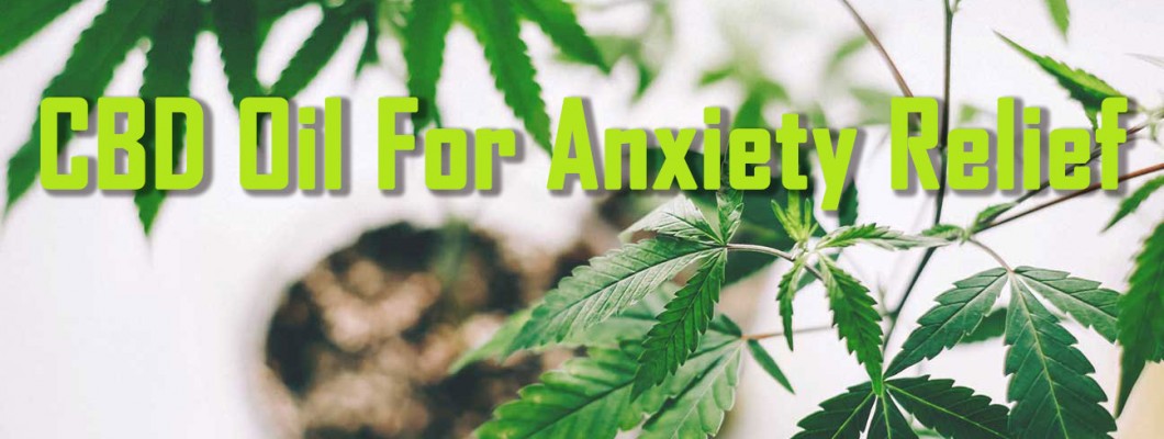 CBD Oil For Anxiety Relief