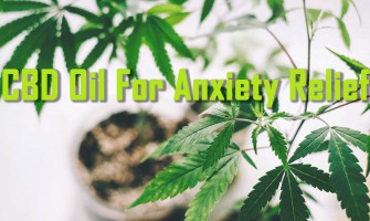 Le pétrole de la CDB pour soulager l'anxiété Le pétrole de la CDB pour soulager l'anxiété