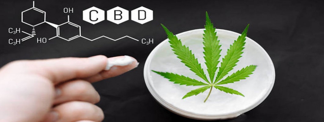 How long does CBD stay in the body?