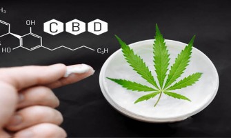 Combien de temps le CBD reste-t-il dans le corps ? Combien de temps le CBD reste-t-il dans le corps ?