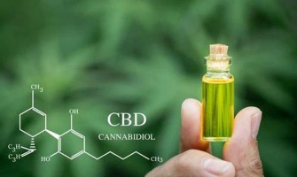 Faut-il utiliser le CBD pour prévenir les maladies? Faut-il utiliser le CBD pour prévenir les maladies?