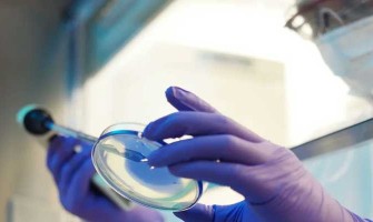 Clinical Study: Changes in 40-65 Age Group After 60 Days of NMN Use Clinical Study: Changes in 40-65 Age Group After 60 Days of NMN Use