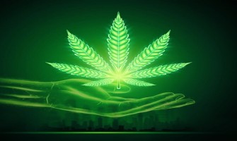 Could Fascia Be Linked to Chronic Pain? Exploring the Role of the Endocannabinoid System and CBD