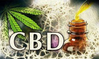Une étude confirme que le CBD est efficace pour prévenir l'apparition précoce de la maladie d'Alzheimer Une étude confirme que le CBD est efficace pour prévenir l'apparition précoce de la maladie d'Alzheimer