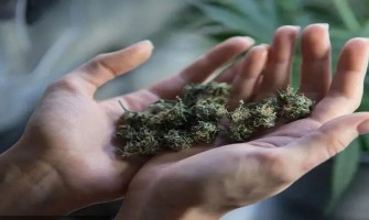 Effects of Medical Cannabis, Endogenous Cannabinoid System on Menopausal Women's Health Effects of Medical Cannabis, Endogenous Cannabinoid System on Menopausal Women's Health