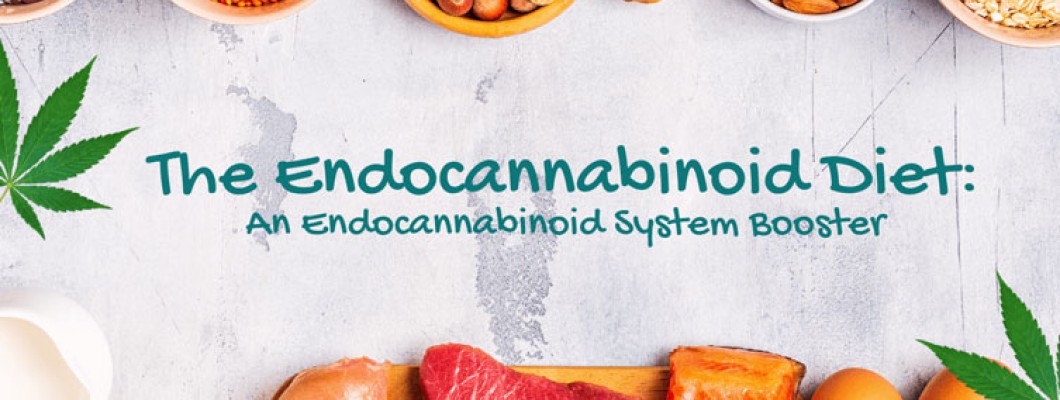 Endocannabinoid-System und gesunde Ernährung!