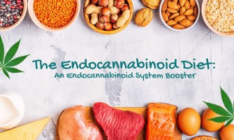 Endocannabinoid-System und gesunde Ernährung! Endocannabinoid-System und gesunde Ernährung!