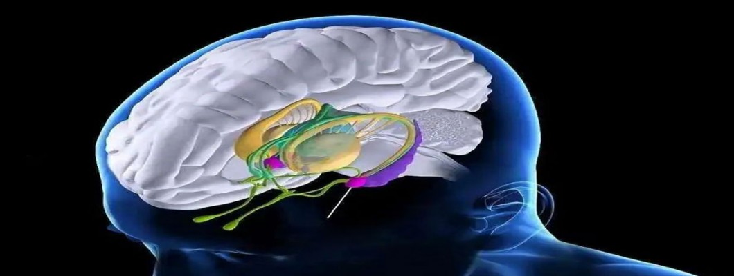 Endogenous cannabinoids can treat mental illnesses such as anxiety and PTSD