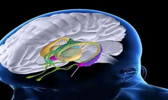 Endogenous cannabinoids can treat mental illnesses such as anxiety and PTSD Endogenous cannabinoids can treat mental illnesses such as anxiety and PTSD