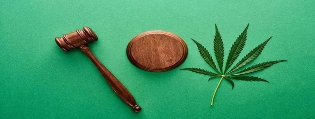 Germany's First Cannabis Legalization Bill is Announced