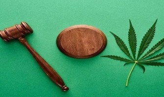 Germany's First Cannabis Legalization Bill is Announced Germany's First Cannabis Legalization Bill is Announced