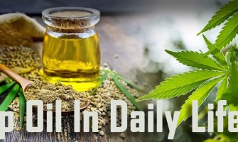 L'huile de chanvre au quotidien L'huile de chanvre au quotidien