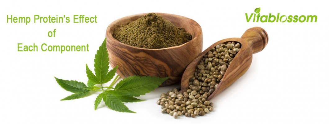 Hemp Protein's Effect of Each Component