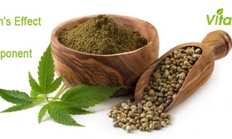 Hemp Protein's Effect of Each Component Hemp Protein's Effect of Each Component