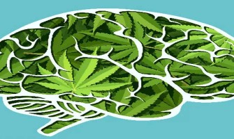 Comment le CBD Pourrait Améliorer les Compétences Sociales : Le Rôle de l’Acétylcholine dans le Cerveau Comment le CBD Pourrait Améliorer les Compétences Sociales : Le Rôle de l’Acétylcholine dans le Cerveau