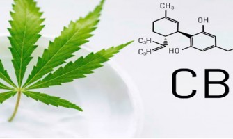 Comment le CBD agit-il sur les troubles hormonaux ? Comment le CBD agit-il sur les troubles hormonaux ?