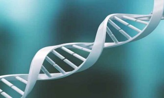 Comment choisir des suppléments de NAD+ : Un guide personnalisé basé sur la science Comment choisir des suppléments de NAD+ : Un guide personnalisé basé sur la science