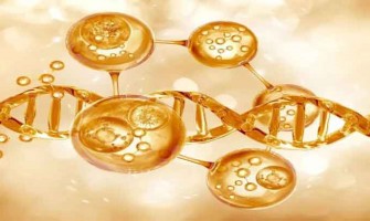 Comment la vitamine C active les «gènes de jeunesse» pour une peau plus ferme et plus saine Comment la vitamine C active les «gènes de jeunesse» pour une peau plus ferme et plus saine